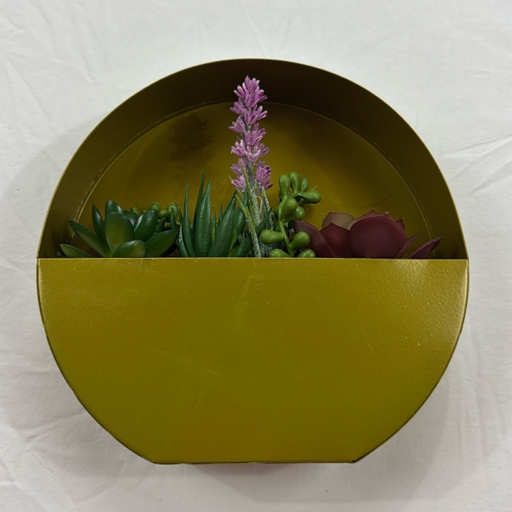 New - succulent‎ gold metal wall holder